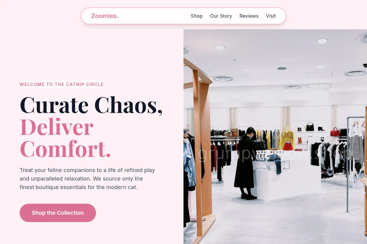 Zoomies Boutique