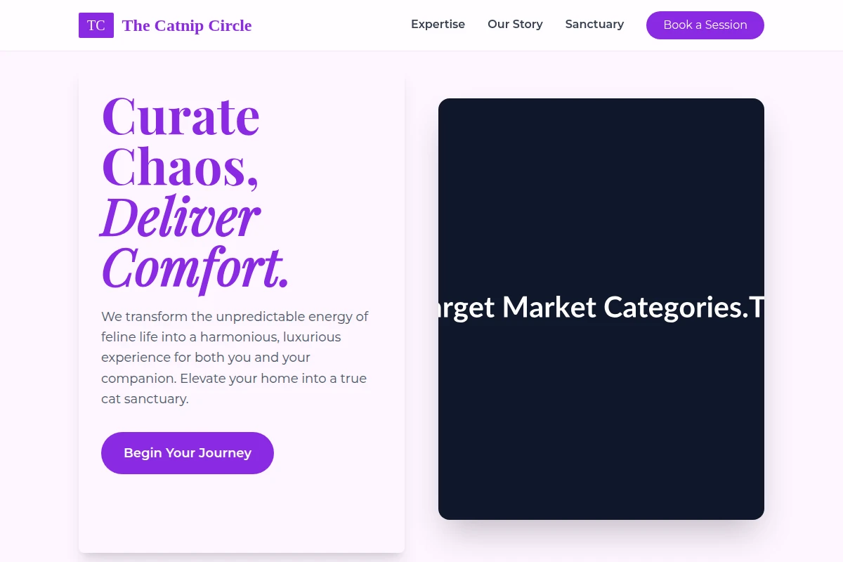 Mew Target Market Categories.Txt